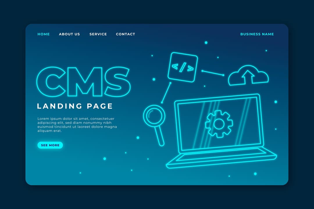 cms development